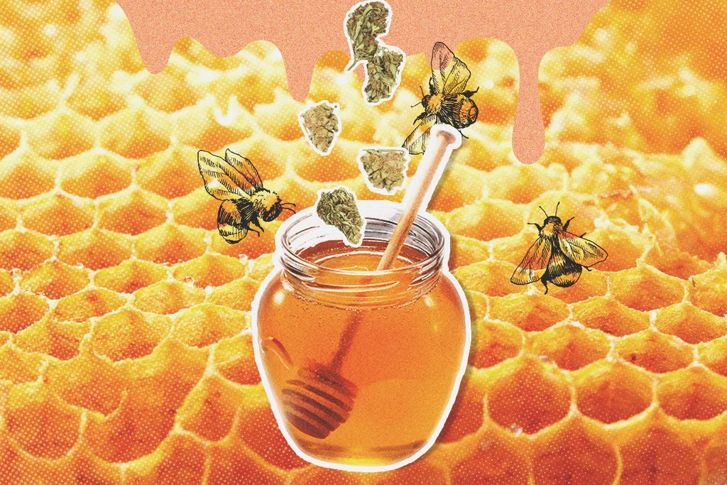 วิธีทำน้ำผึ้งกัญชา